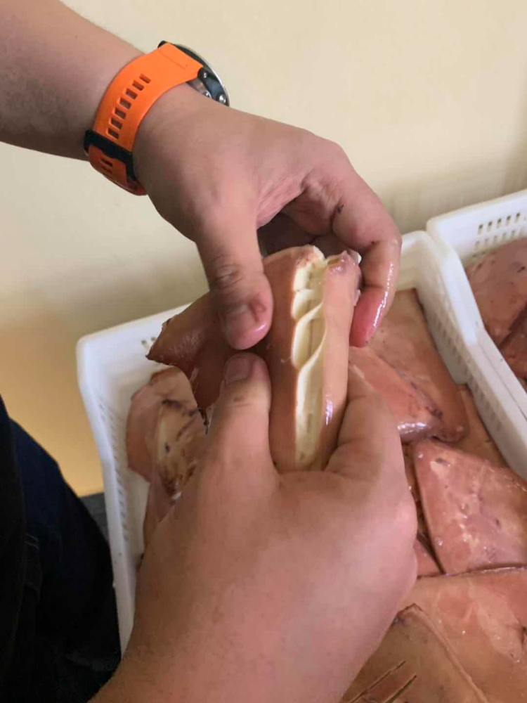 凍煮魷魚(yú)耳