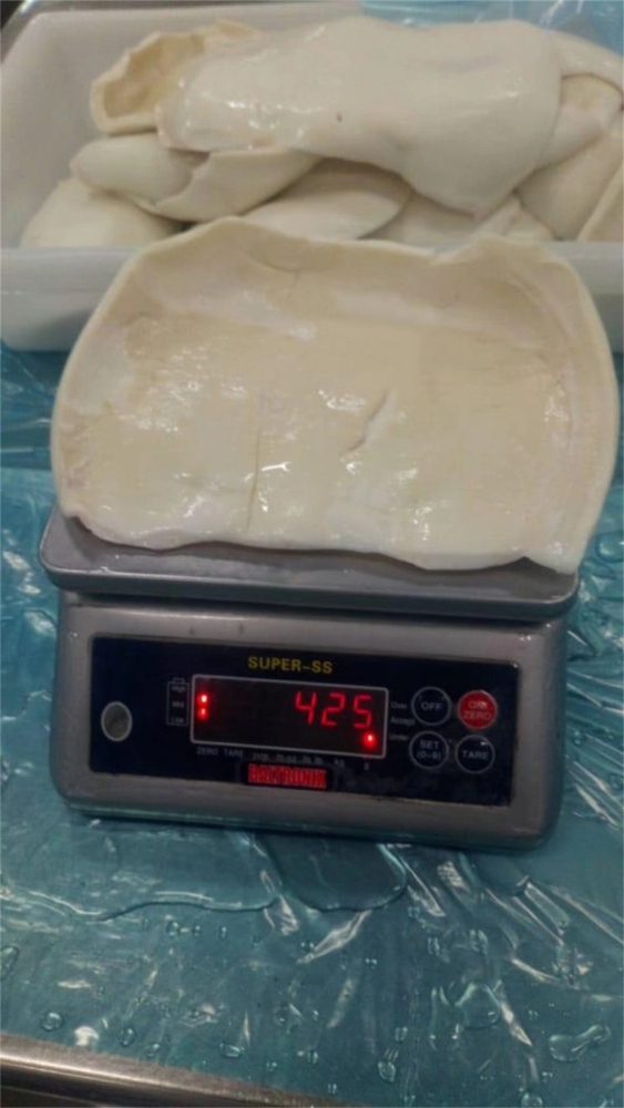 凍煮魷魚片 FROZEN BOILED GIANT SQUID FILLET