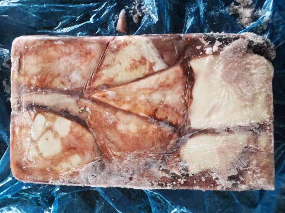 冷凍魷魚(yú)原條 FROZEN WHOLE GIANT SQUID