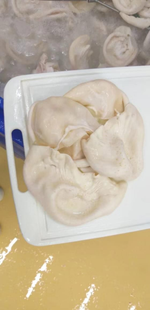 熟膜 FROZEN BOILED GIANT SQUID BITS AND PIECES